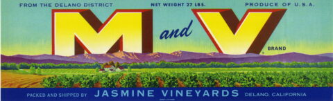 M and V